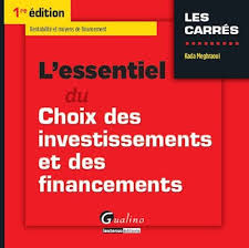 Choix des investissements et des financements 