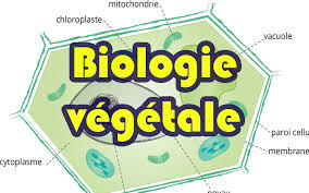 Résultat de recherche d'images pour "biologie vegetal""